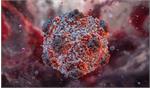 hantavirus has not yet reached the stage of a global pandemic